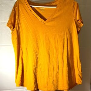 Woman’s gold colored Mossimo Top